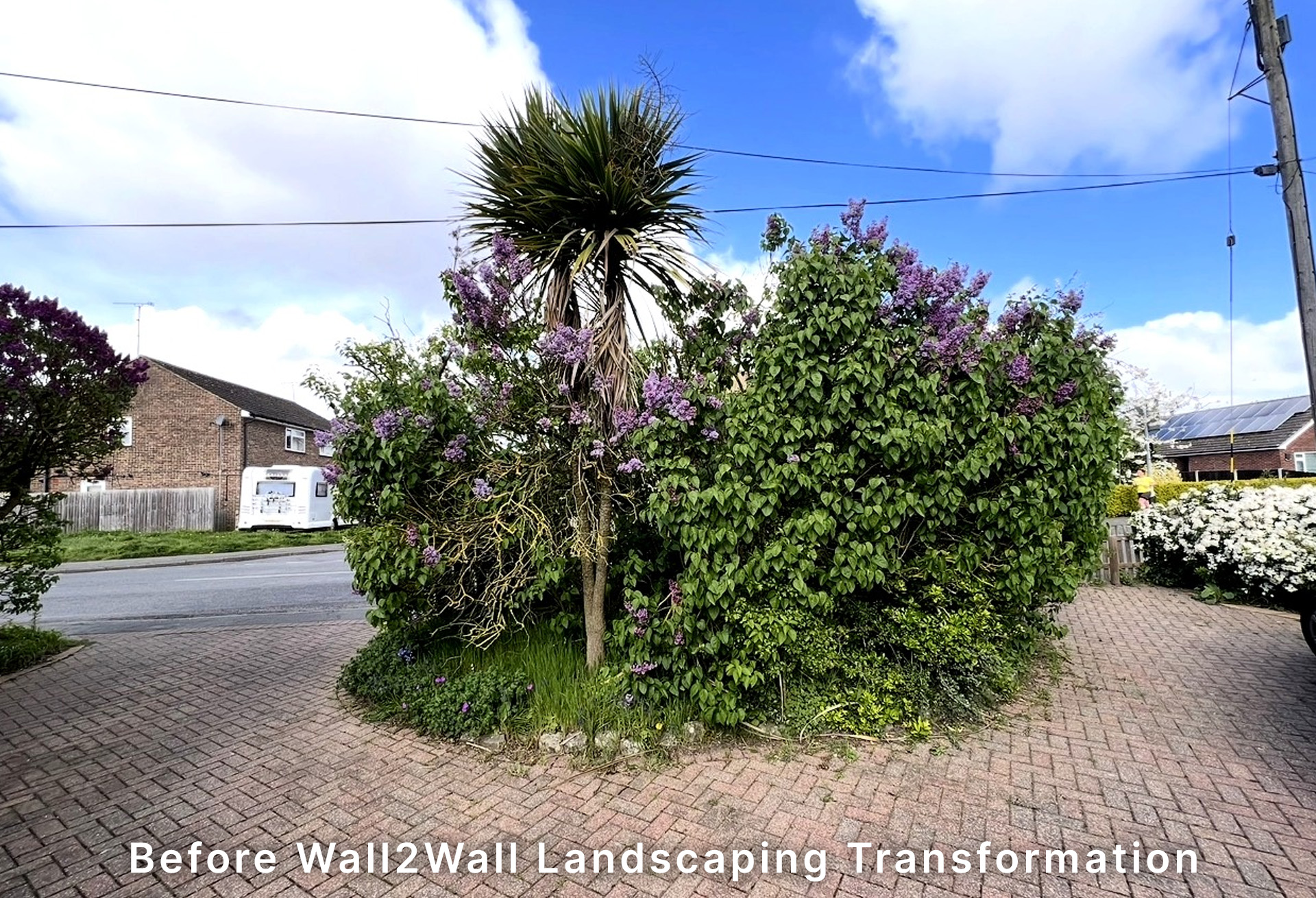 Before: Overgrown boundary in Tiptree before fencing